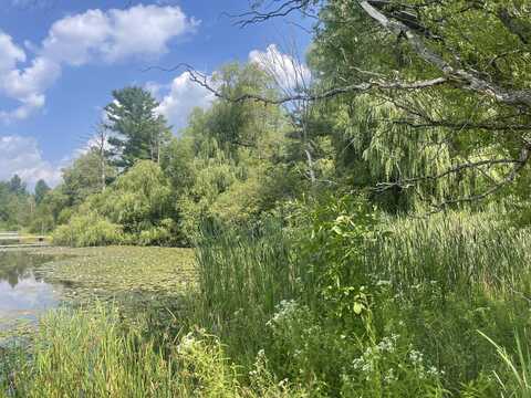 8337 Lake Lure Drive Drive, Evart, MI 49631