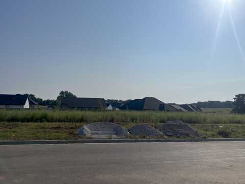 3033 E Heritage Street, Republic, MO 65738