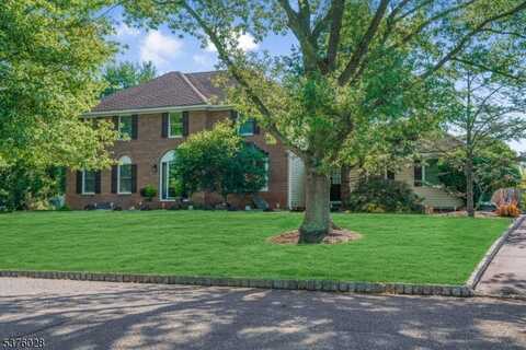 3 FRANCIS DRIVE, Hillsborough, NJ 08844