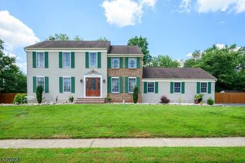 1 Elmendorf Cir, Hillsborough, NJ 08844