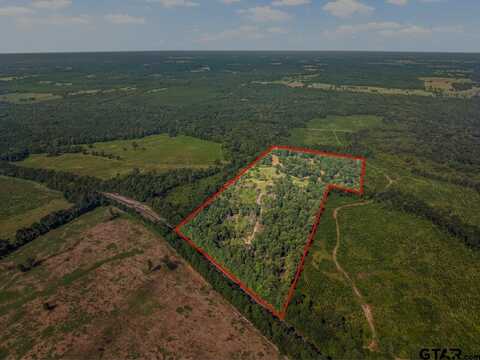 TBD Mink Road, Gilmer, TX 75644