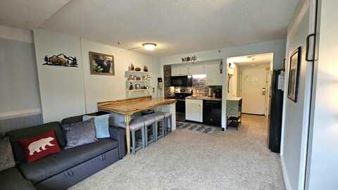 1130 Silver Creek Pkwy, Snowshoe, WV 26209