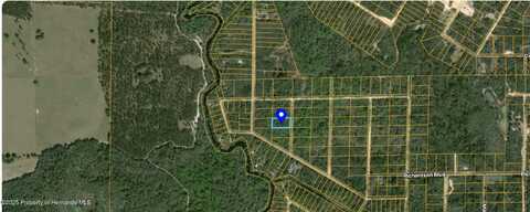 Meridian Street, Webster, FL 33597