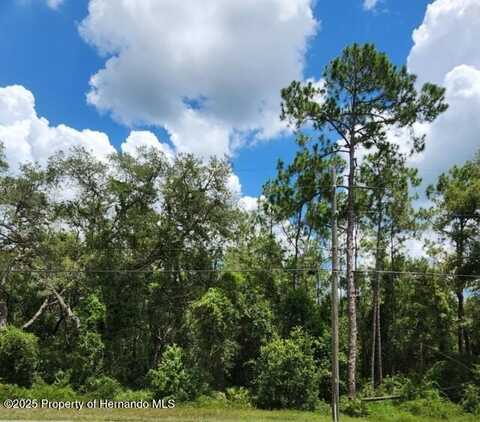 Treiman Boulevard, Webster, FL 33597