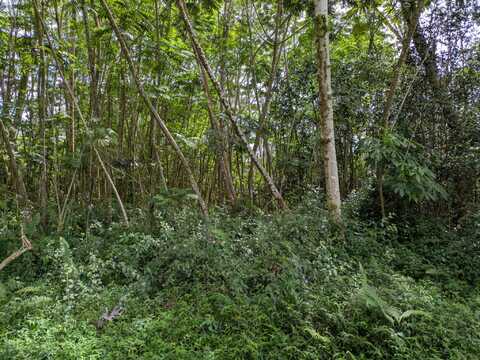 HILO RD, Pahoa, HI 96778