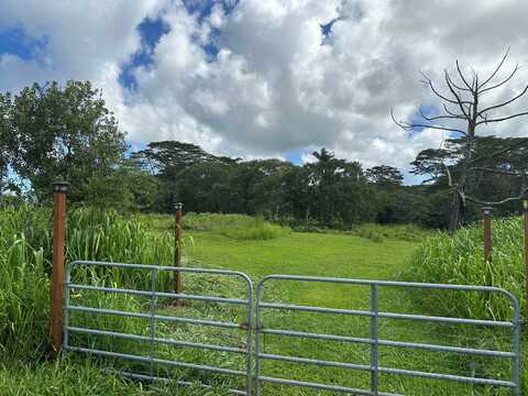 17-4224 KUAAINA RD, Kurtistown, HI 96760