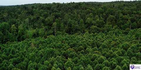 Tract 7 Cook Lane, Cromwell, KY 42333