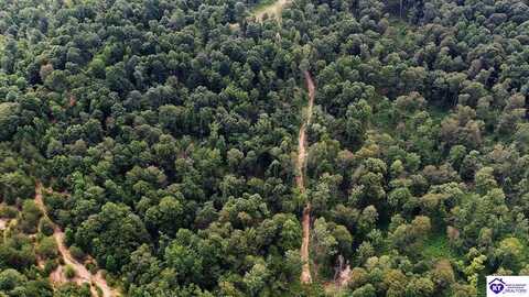 Tract 3 Cook Lane, Cromwell, KY 42333