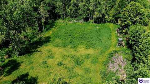 Tract 6 Cook Lane, Cromwell, KY 42333