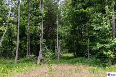 Tract 10 Cook Lane, Cromwell, KY 42333