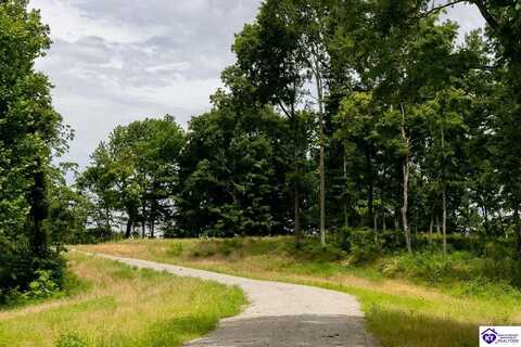 Tract 2 Cook Lane, Cromwell, KY 42333
