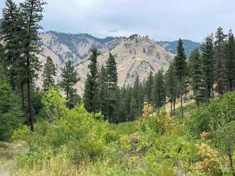 Tbd Nf Road 310, Riggins, ID 83549