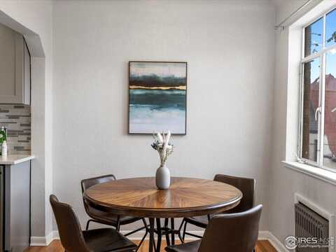 1130 N Pennsylvania St, Denver, CO 80203