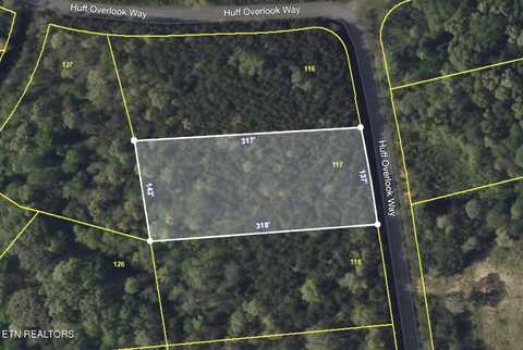 Lot 117 Huff Overlook Way, Del Rio, TN 37727