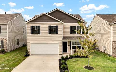 9317 Avian Forest Lane, Heiskell, TN 37754