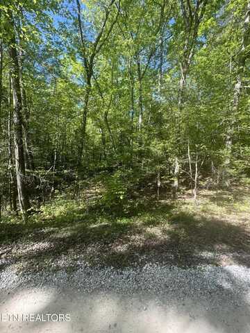 0 Lake Overlook Drive, Spring City, TN 37381