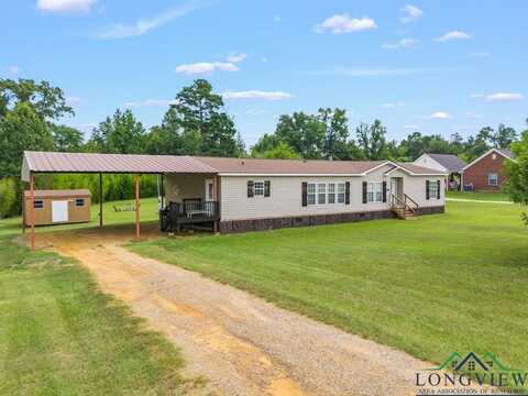 4333 Hawk Road, Diana, TX 75640