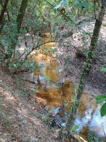 PART 1 of TR 76 County Road 441, Kirbyville, TX 75956