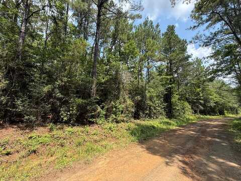 PART 1 of TR 76 County Road 441, Kirbyville, TX 75956