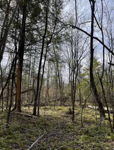 Tract Shadow Ridge, Williamsburg, KY 40769