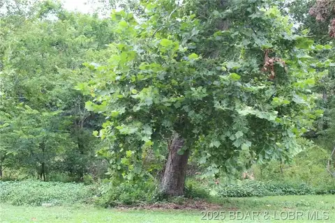 TBD Pinkie Lane, Sunrise Beach, MO 65079