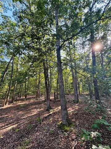 Tbd County Road 2330, Salem, MO 65560