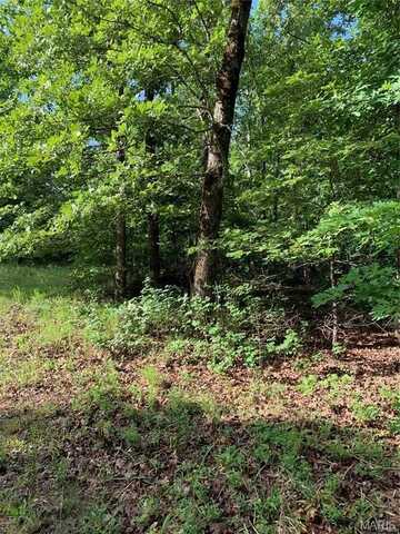 0 Highway 160W-13, Doniphan, MO 63935