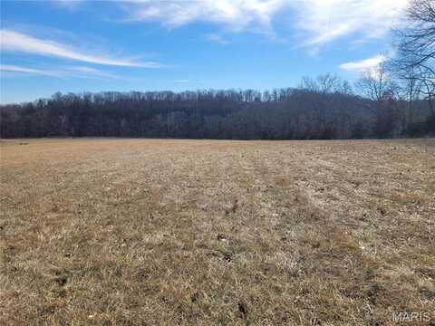 200 Big Creek Valley Drive, Troy, MO 63379