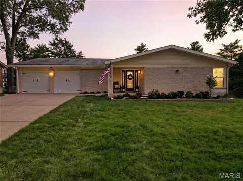 12418 Impact Drive, Saint Louis, MO 63146