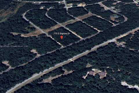 775 E ELGROVE DR, Citrus Springs, FL 34434