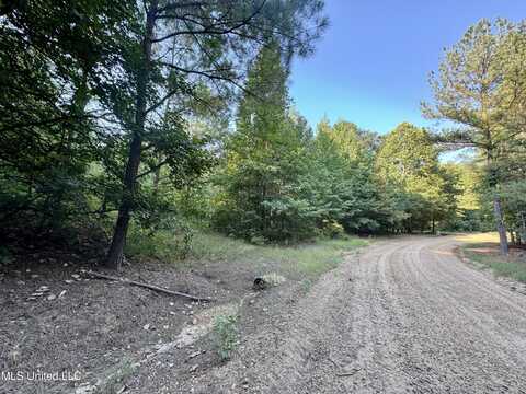 County Road 69, Carrollton, MS 38917