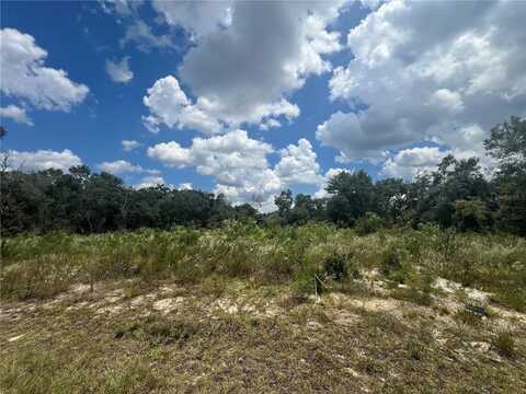 15767 SW 37TH AVENUE, OCALA, FL 34473