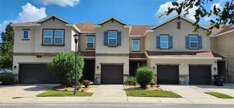 12355 BAYOU FLATS LANE, TAMPA, FL 33635
