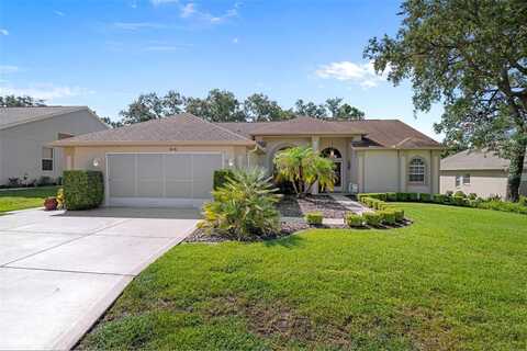 416 MISTWOOD COURT, SPRING HILL, FL 34609