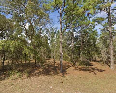 0 SW 85TH PLACE, DUNNELLON, FL 34432