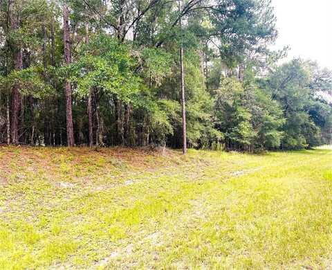 0000 SW 185 AVENUE ROAD ROAD, DUNNELLON, FL 34432