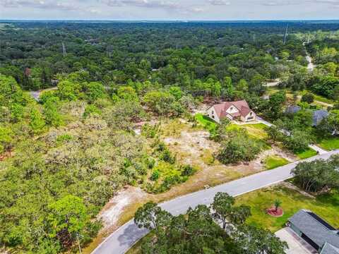 17942 OGGIE LANE, HUDSON, FL 34667