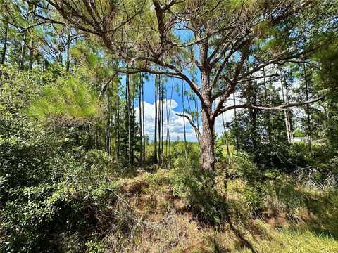 OIL WELL ROAD, CLERMONT, FL 34714