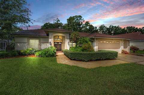 1120 HUNTERS PLACE, OLDSMAR, FL 34677