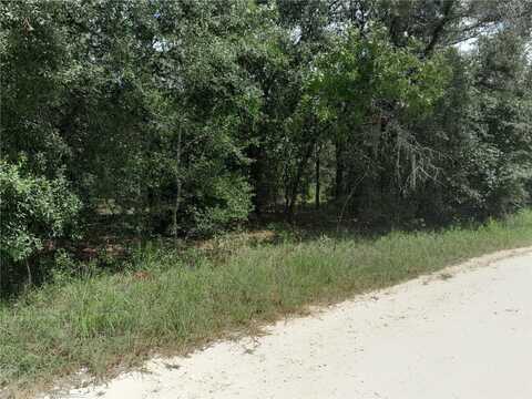 91 SE 142ND TERRACE, WILLISTON, FL 32696