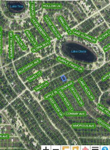 421 TAHITI LANE, LAKE PLACID, FL 33852