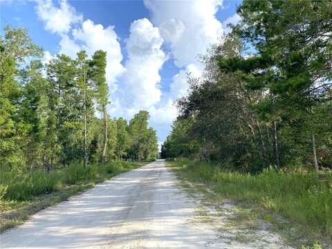 00 NE 139TH AVENUE, WILLISTON, FL 32696