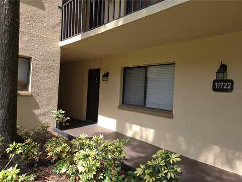 11722 RAINTREE LAKE LANE, TAMPA, FL 33617
