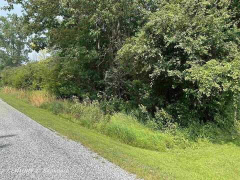 0 Townline, Birch Run, MI 48415