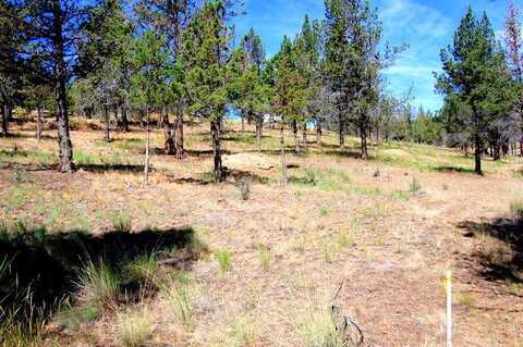 NE TL 700 Irvine Avenue, Prineville, OR 97754