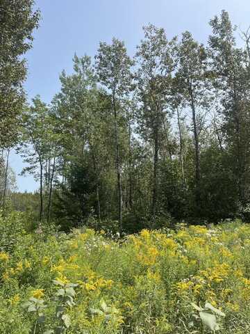 Map3lot12c Fowler Road Crossroad, Woodland, ME 04736
