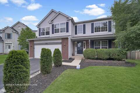 249 Gladiolus Drive, Romeoville, IL 60446
