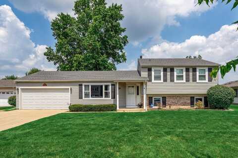1314 Colwyn Drive, Schaumburg, IL 60194