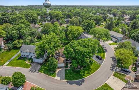 6382 Twin Oaks Lane, Lisle, IL 60532
