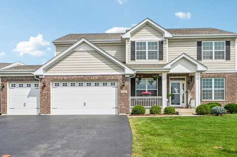 2195 Bristol Park Road, New Lenox, IL 60451
